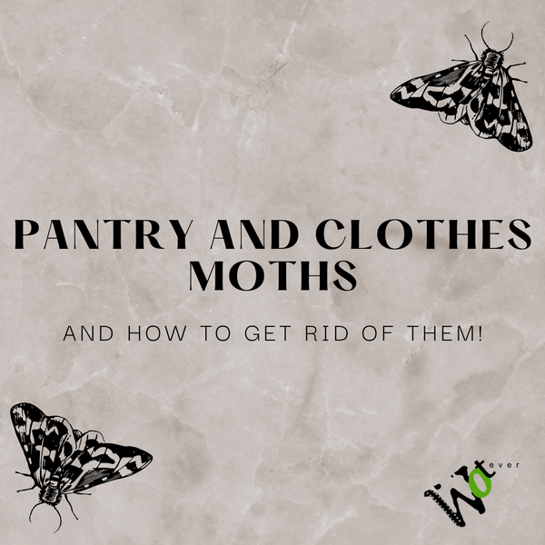 It was a NIGHTMARE!!! (Pantry Moths destroyed our pantry!) 