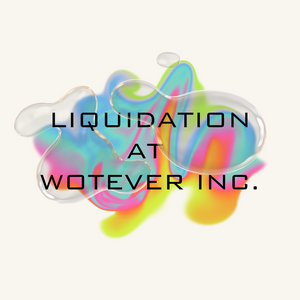 Liquidations at wotever inc.