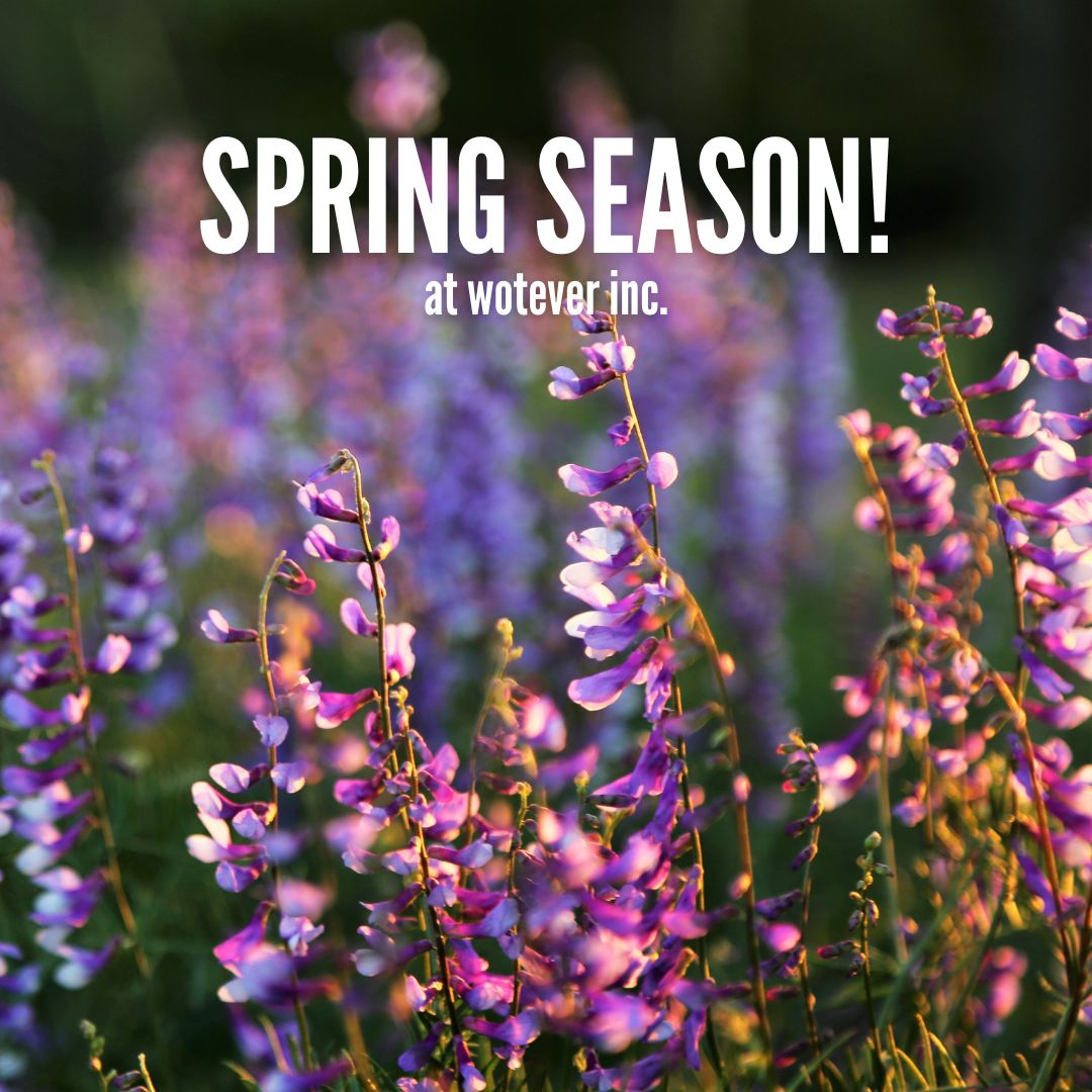 SPRING SEASON AT WOTEVER INC!