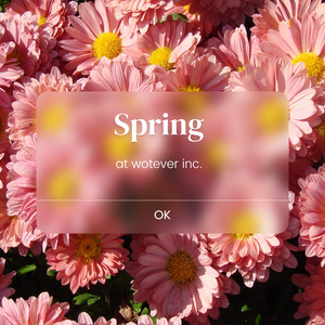 Spring at wotever inc