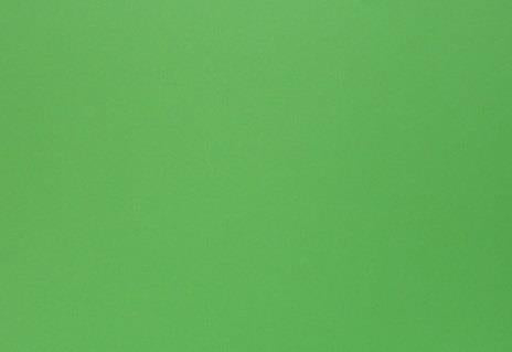 Stry-Lenkoff Day Tags 1000 Box - Green