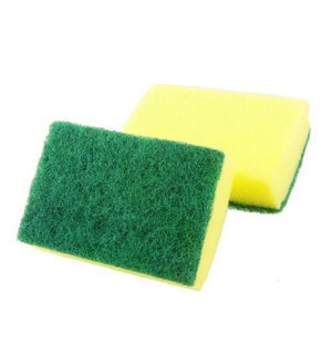 Two sponges posed elegantly against a white background