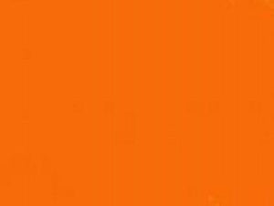 Stry-Lenkoff Day Tags 100 Pack - Orange