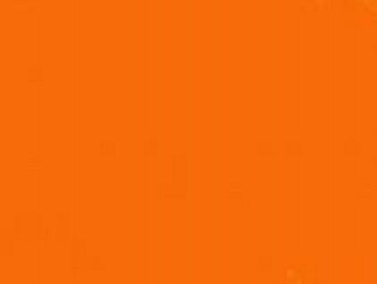 Stry-Lenkoff Day Tags 100 Pack - Orange