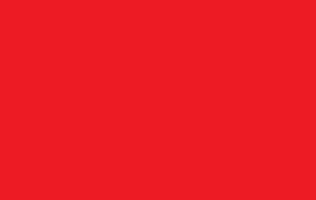 Stry-Lenkoff Day Tags 100 Pack - Red