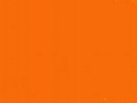 Stry-Lenkoff Day Tags 1000 Box - Orange